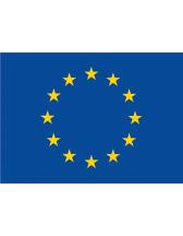 Flag Europe 