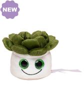 Schmoozies® Evergreenies® Sukkulente 