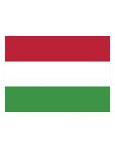 Flag Hungary 