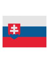 Flag Slovakia 