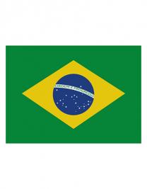 Fahne Brasilien 